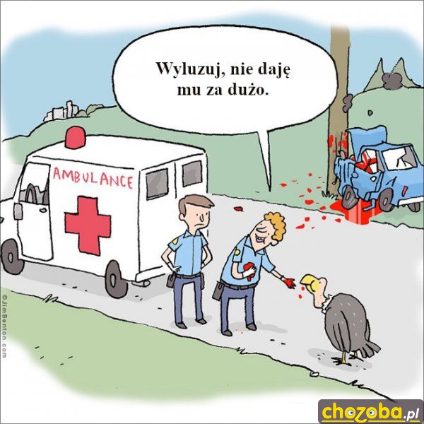 Karmienie ptaszka