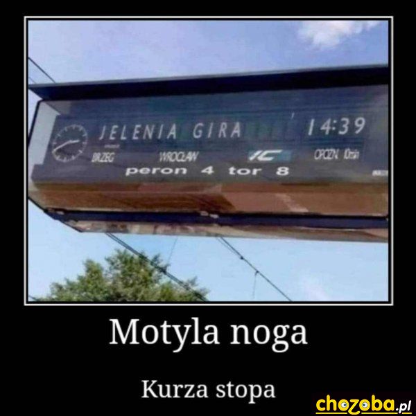 Jelenia gira