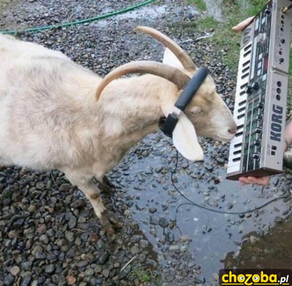 DJ koza