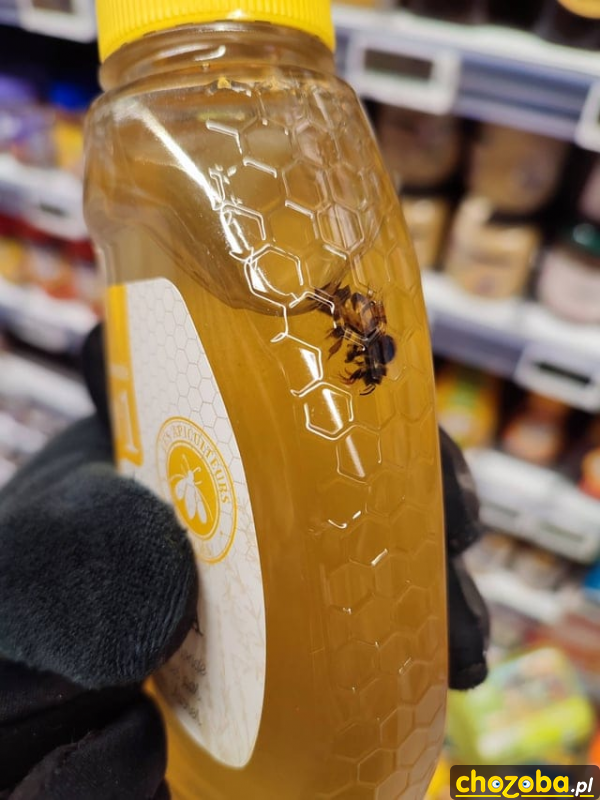 Miód z pszczołą