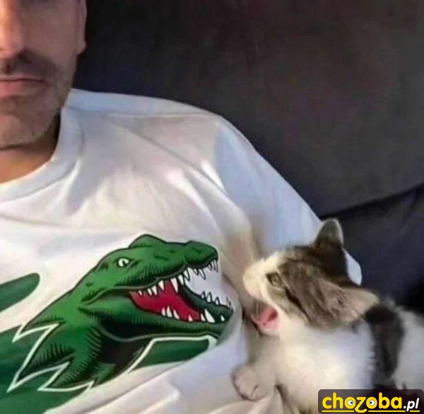 Aaaaa!