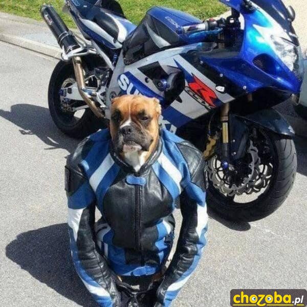 Motocyklista