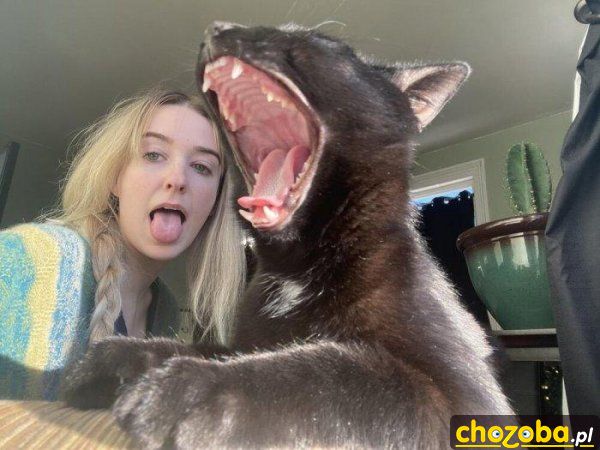 Aaaaaa!