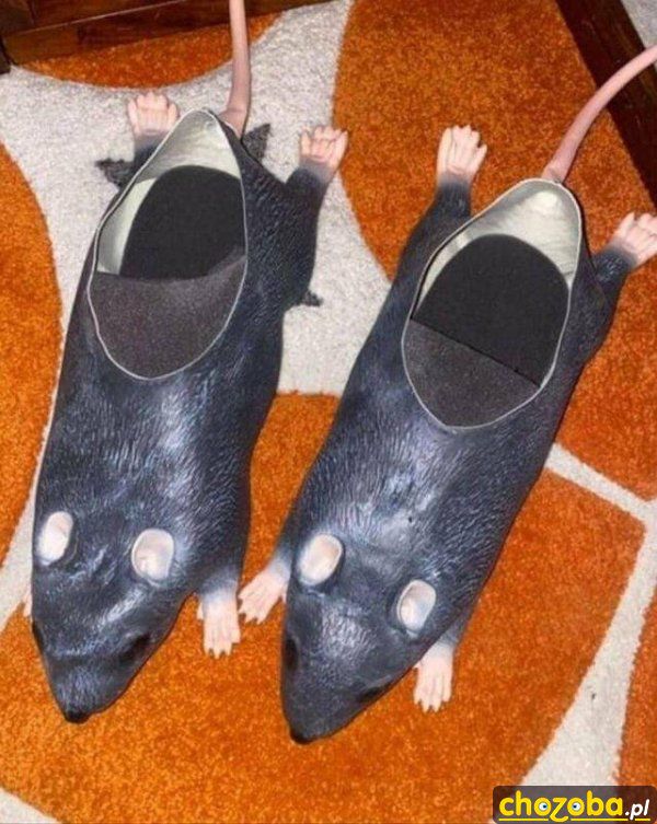 Szczurowe buty