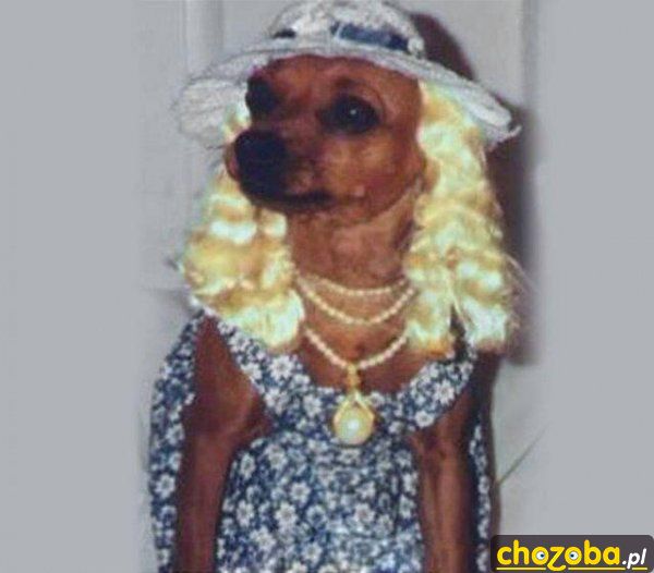 Blondyna