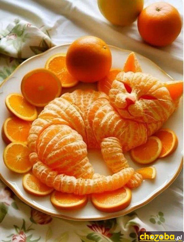Pomarańczowy kot