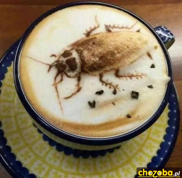 Kawa z karaluchem