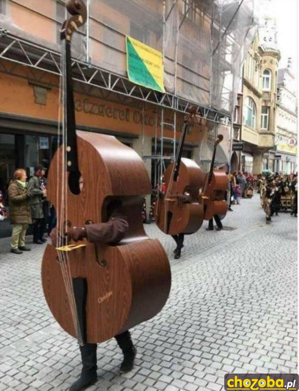 Żywe instrumenty