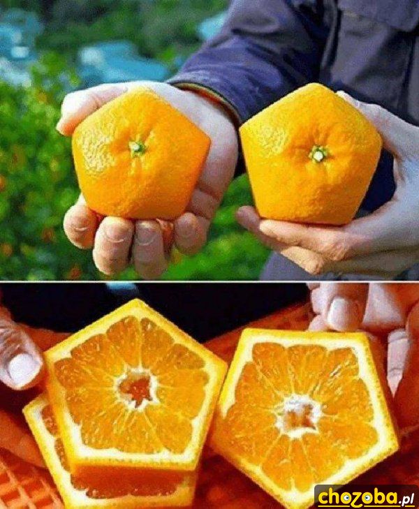 Kanciaste pomarańcze