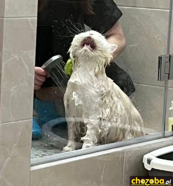 Aaaaaa!