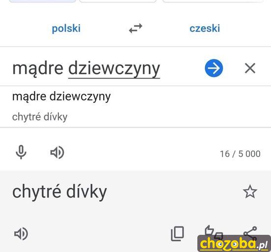  Z czeskim wszystko staje się prostsze 