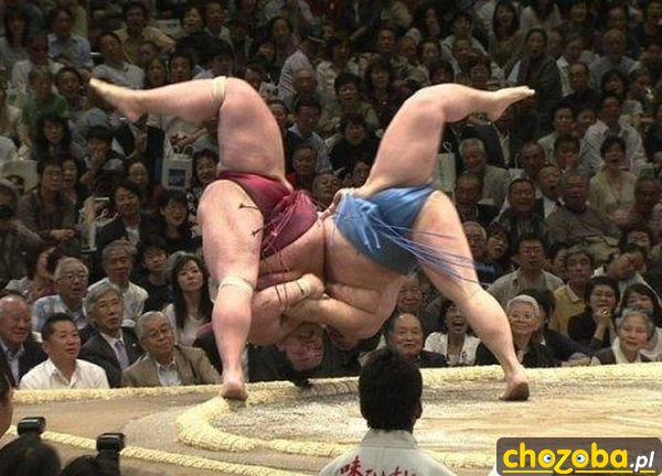 Sumo