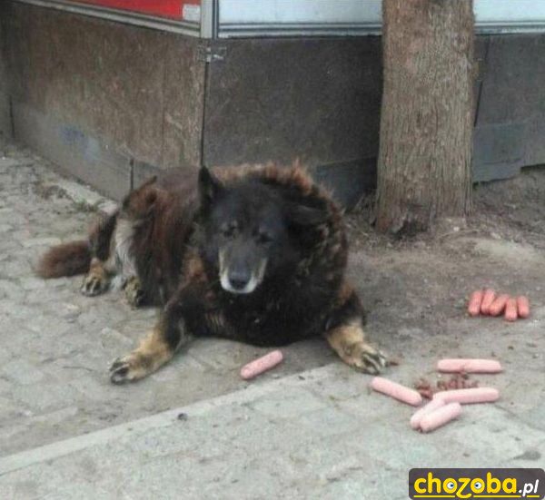 Już nie mogę więcej