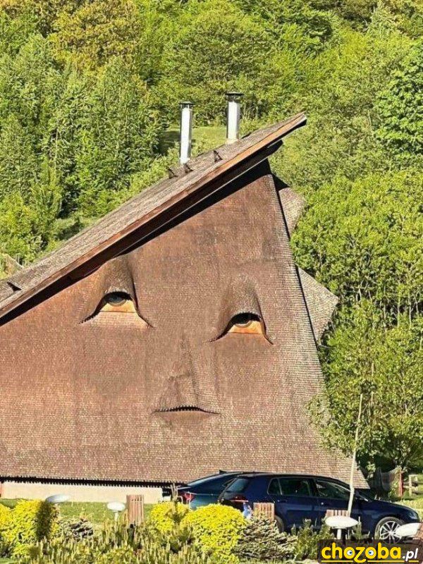 Morda na dachu