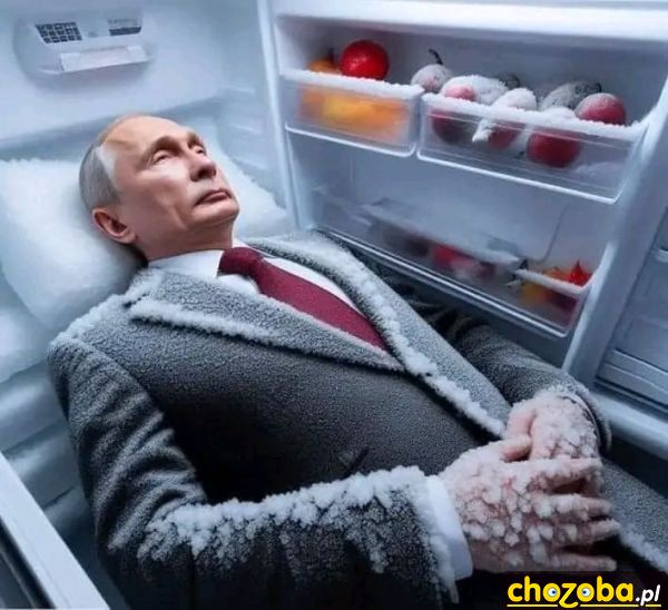 W lodówce