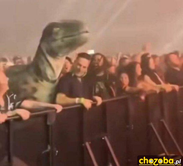 Dinozaur na koncercie