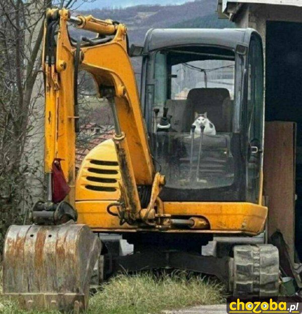 Nowy pracownik