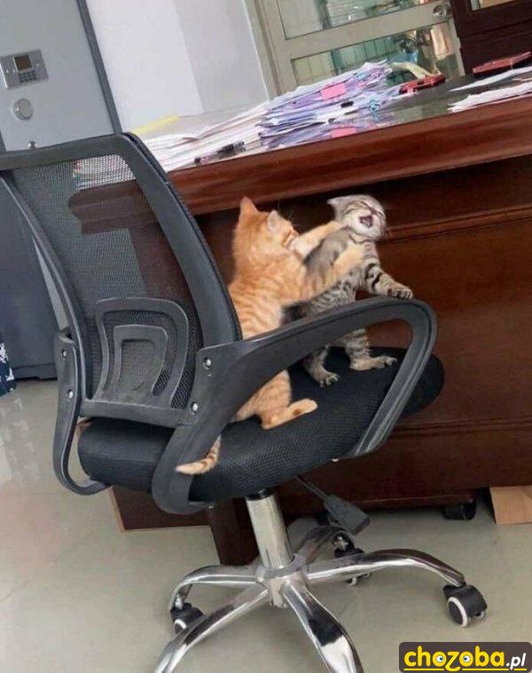 Aaaaaaa!