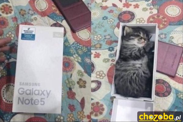 Nowy telefon