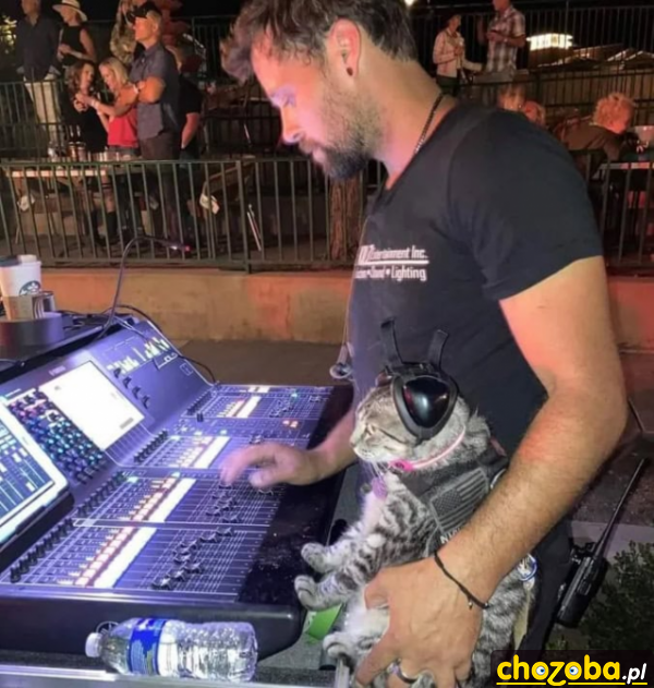 DJ Cat