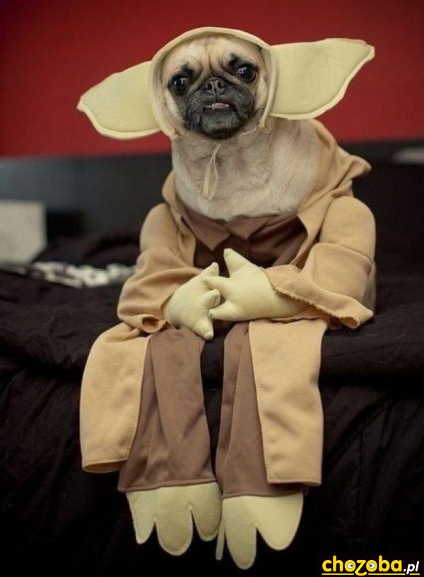 Yoda