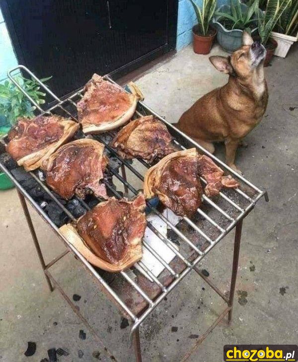Pięknie pachnie