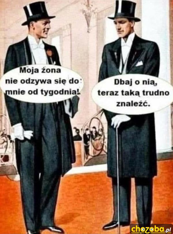 Dobra żona