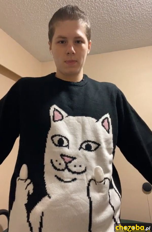 Sweter z kotkiem