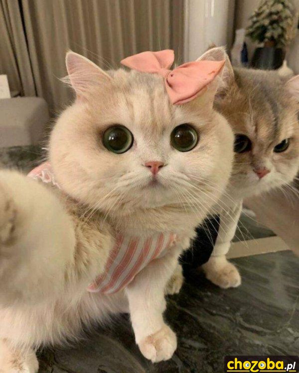 Selfie