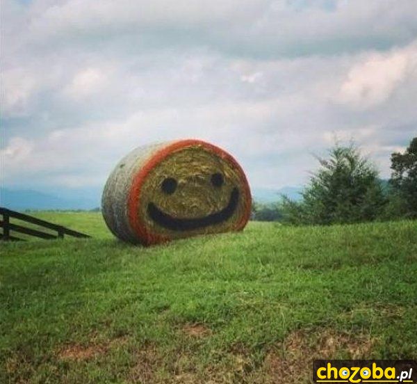 Uśmiechnięty snopek