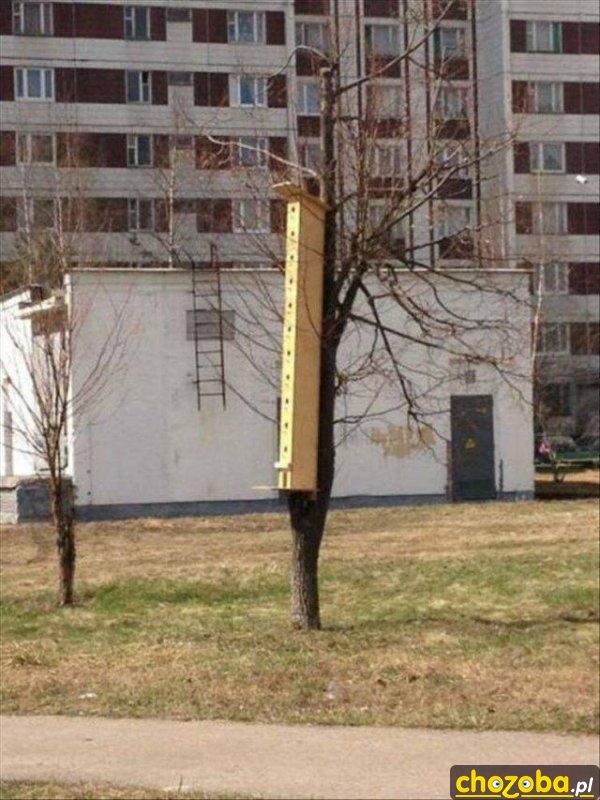 Piętrowy karmnik dla ptaków