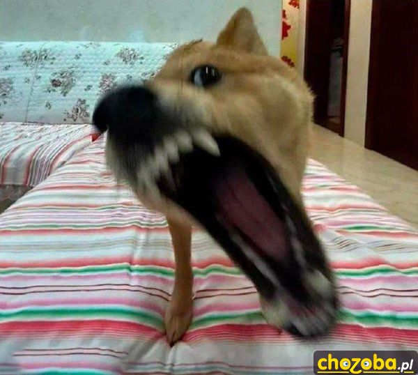 Aaaaaa!