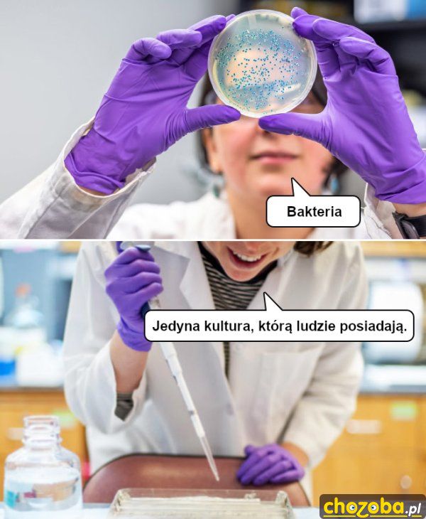Kultura człowieka