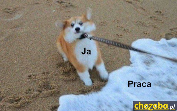 Ja i praca