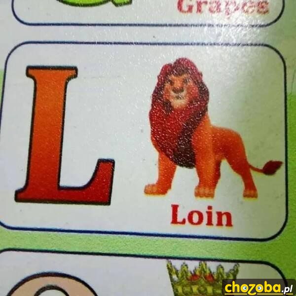 Loin
