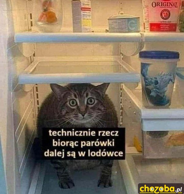 Parówki w lodówce