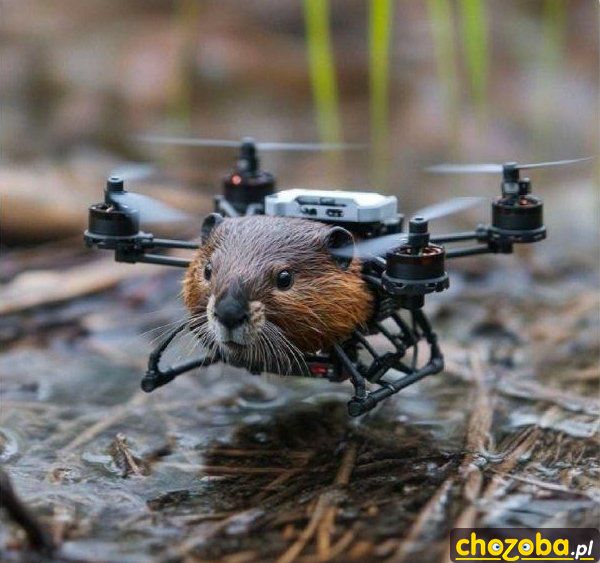 Tajny dron