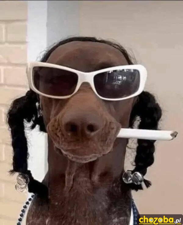 Snoop Dogg