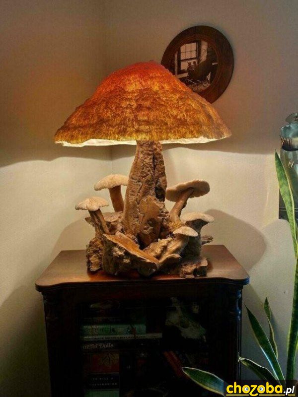 Lampa grzybiarza