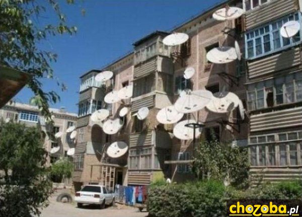 Fani telewizji satelitarnej