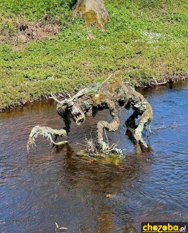 Rzeczny potwór