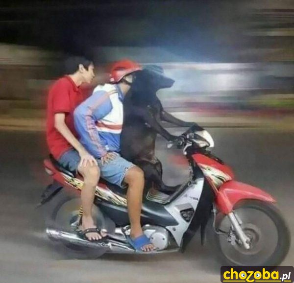 Na motorze