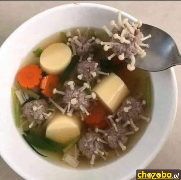 Zupa z wirusami