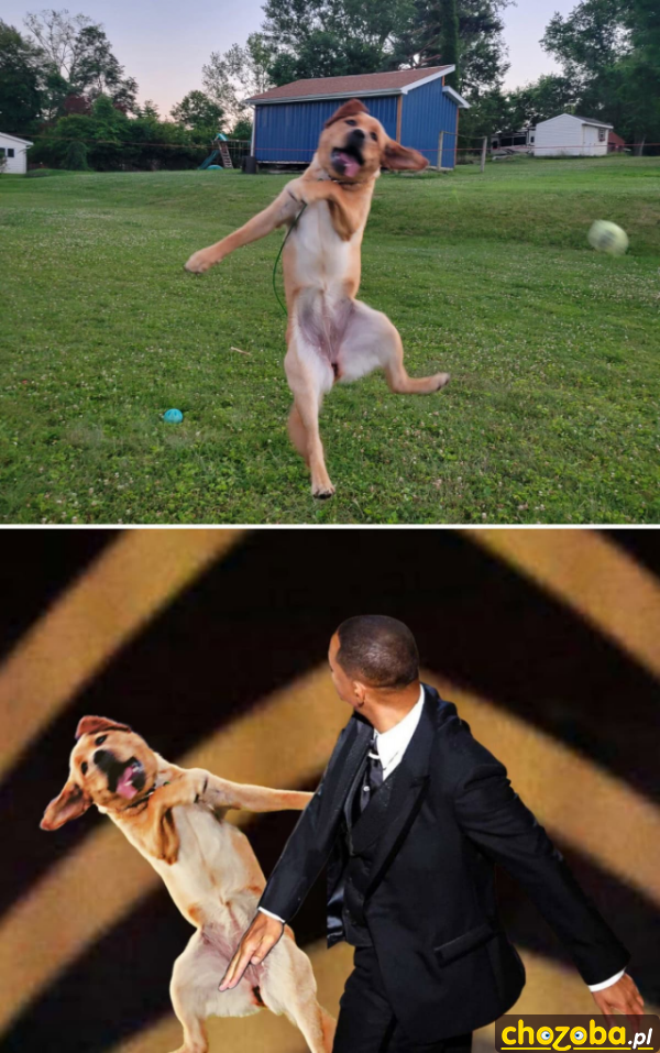 Z plaskacza
