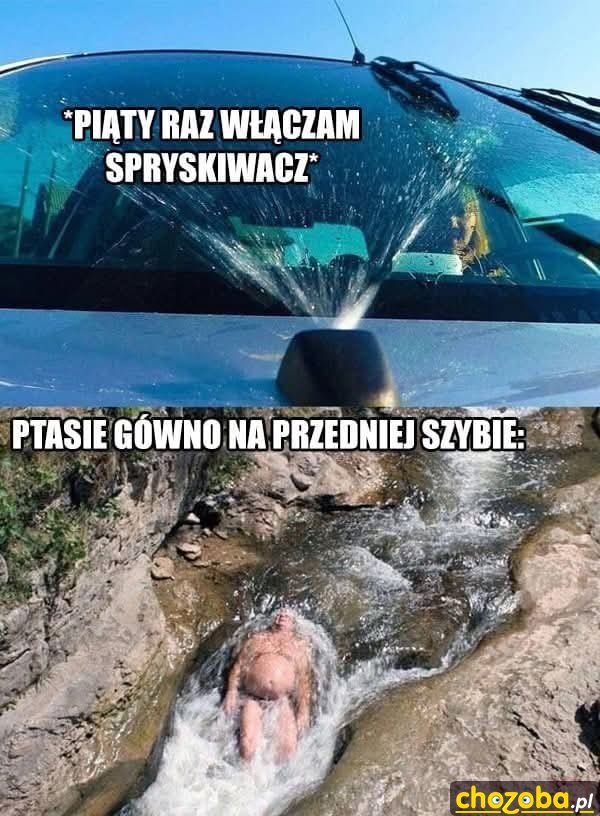 Życie