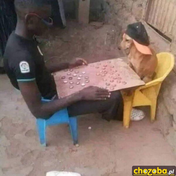Gra z kumplem