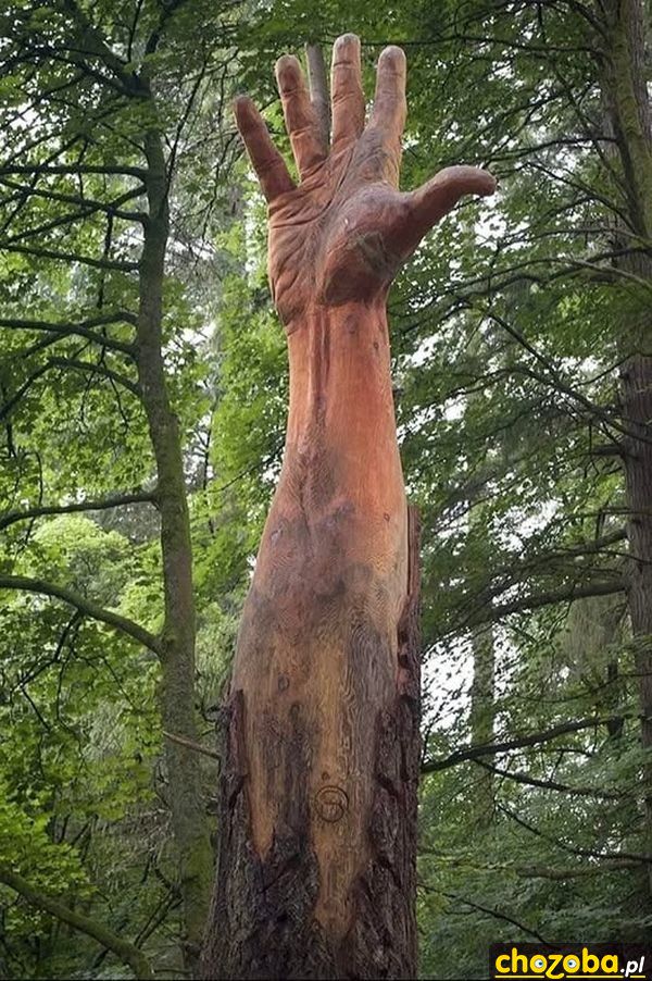 Drewniana ręka
