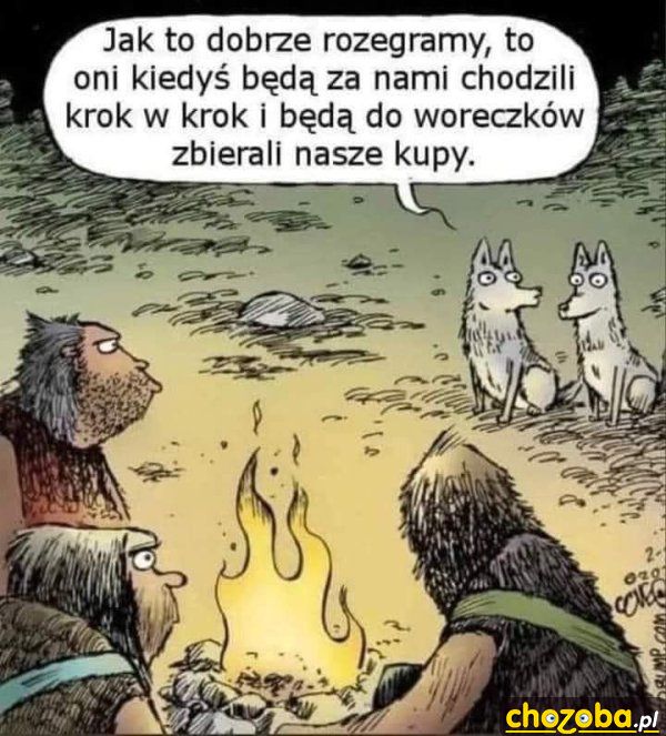 Dobrze to rozegrały