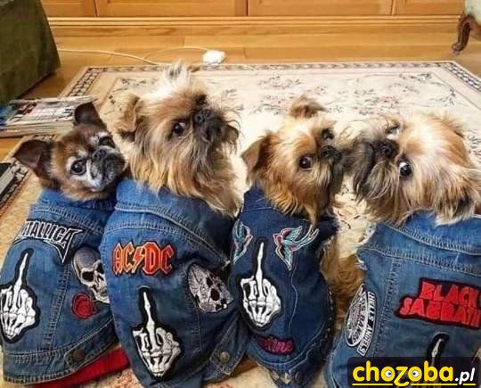 Jeansowe Yorki