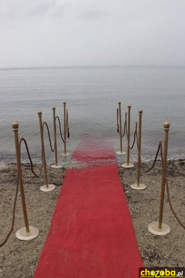 Zapraszamy